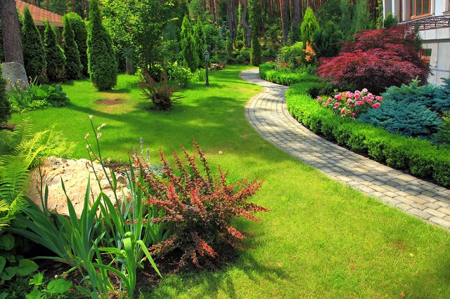 Landscaping Toronto