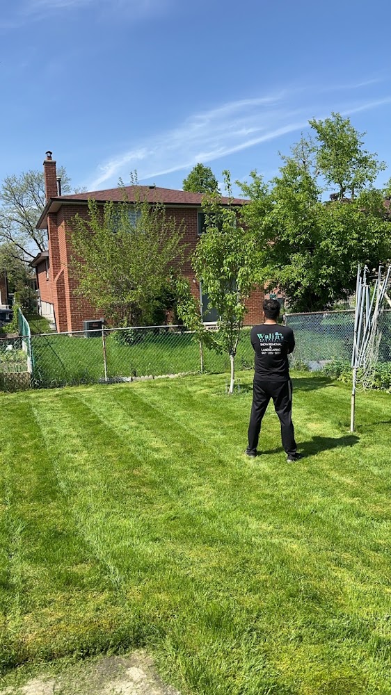Walia’s property maintenance