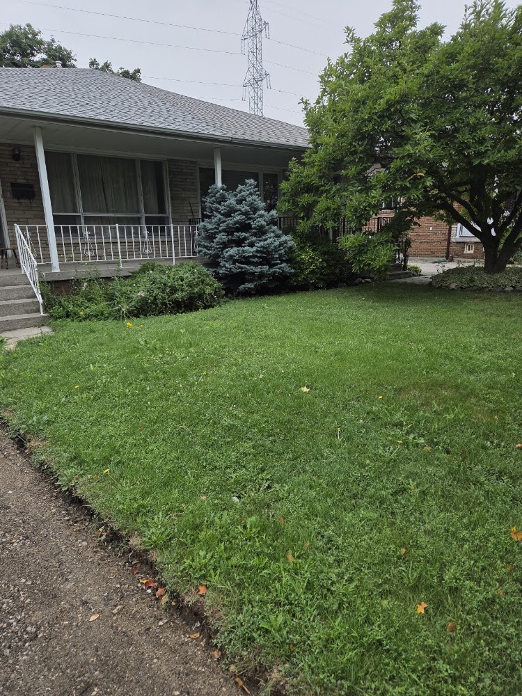 All seasonal land scaping