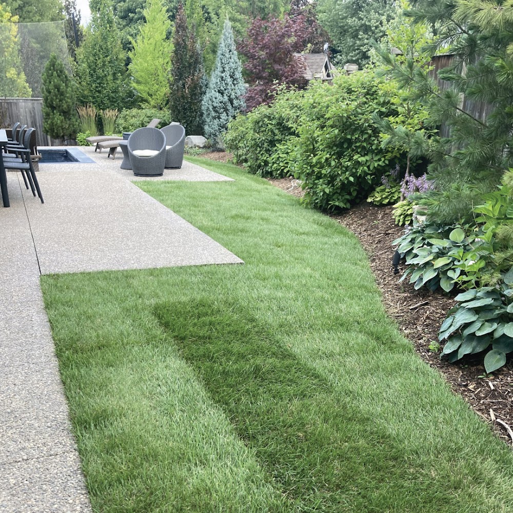 D'Antonio Landscape & Maintenance
