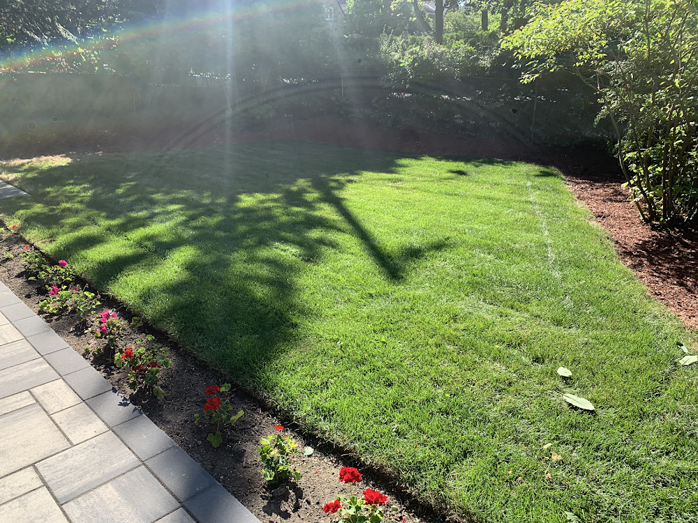 MZ's Lawn Care - Lawn Maintenance & Snow Removal Service