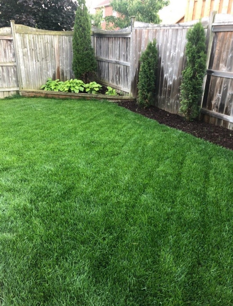 Northway Lawn And Snow inc.