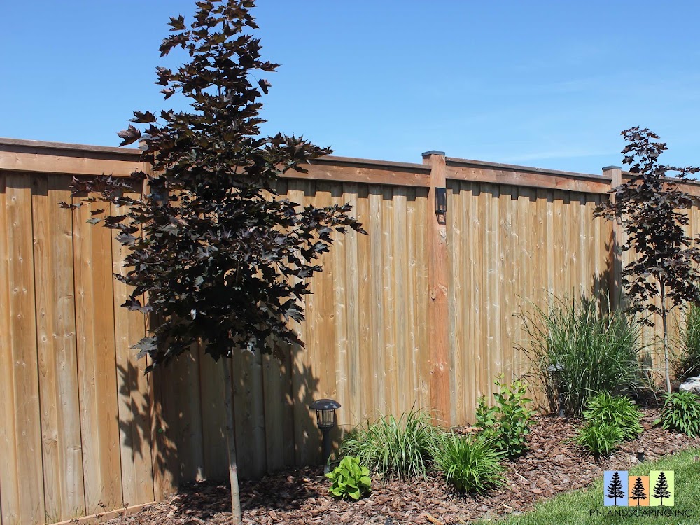 PT Landscaping Inc