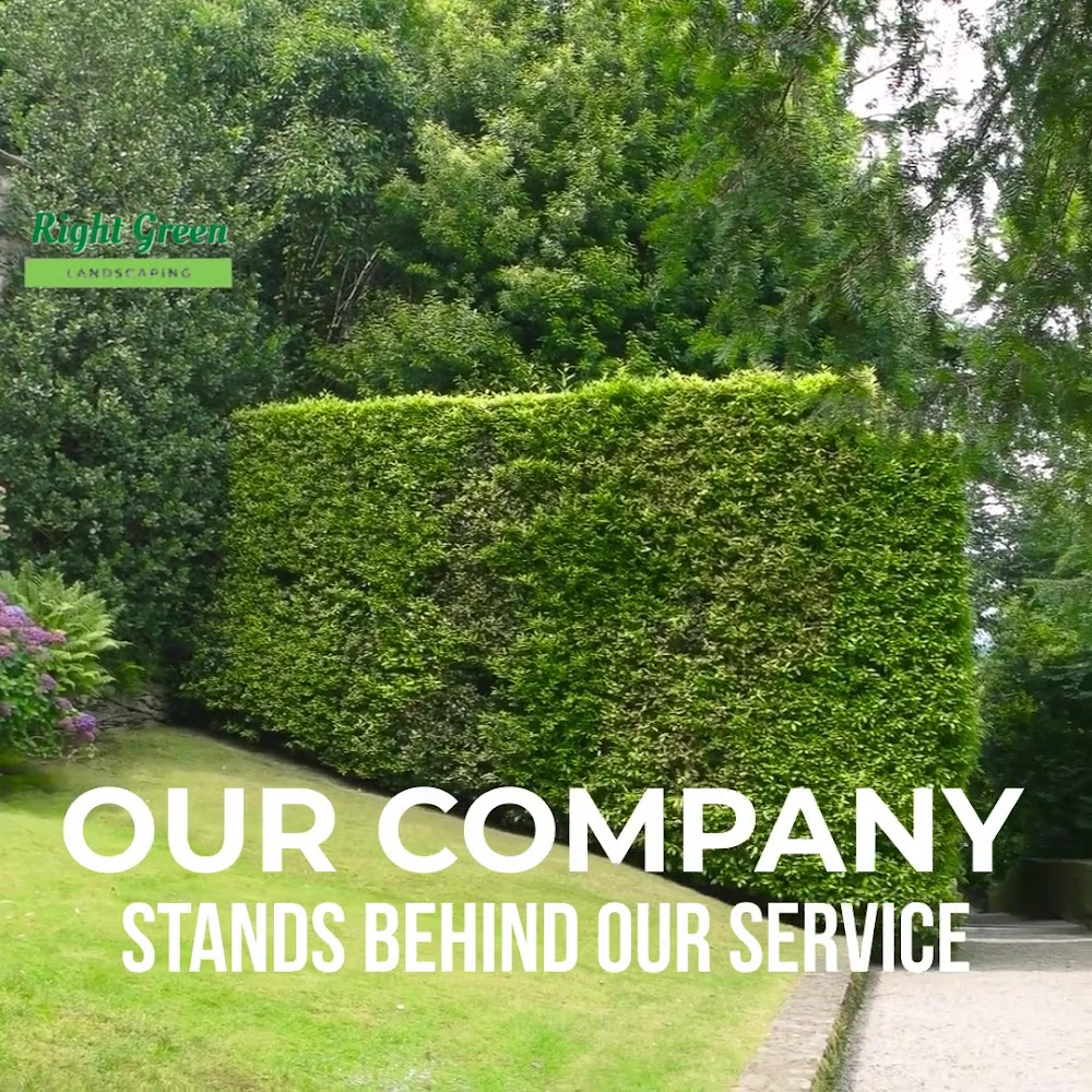 Right Green Thornhill Landscaping Near Me
