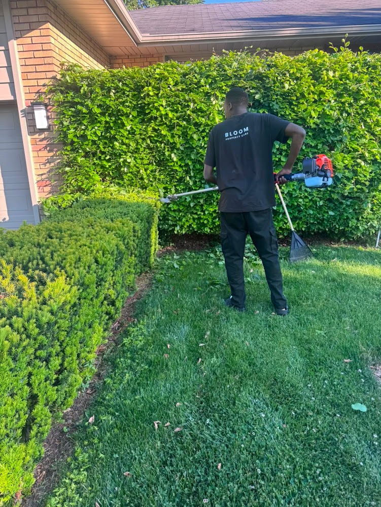 Bloom property care