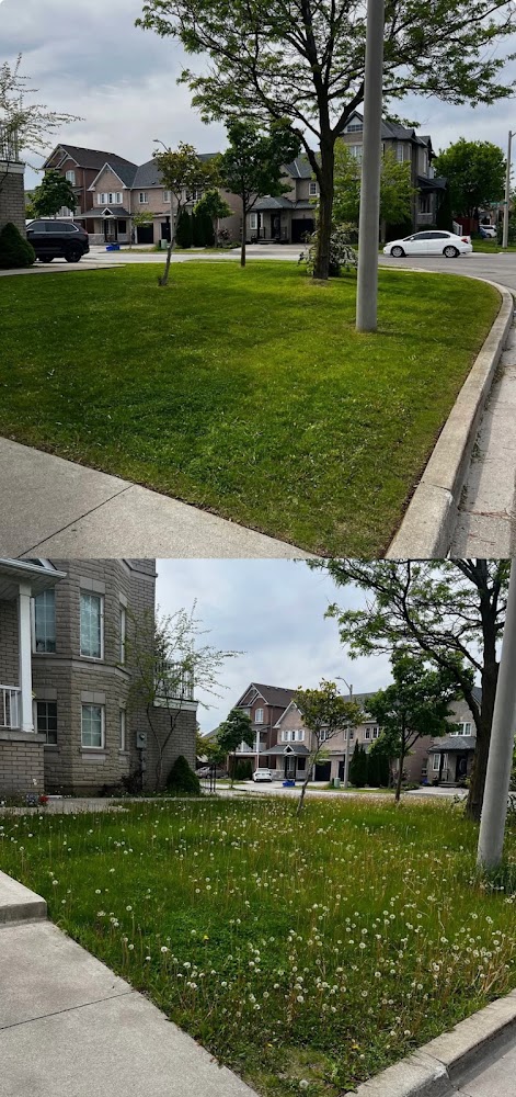 PERFECT GREENS PROPERTY MAINTENANCE LTD