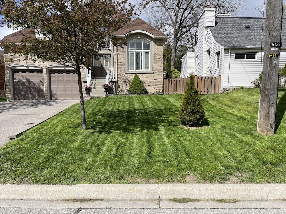 Terra Care Landscaping & Property Management LTD