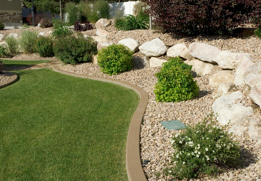 Vieira property management