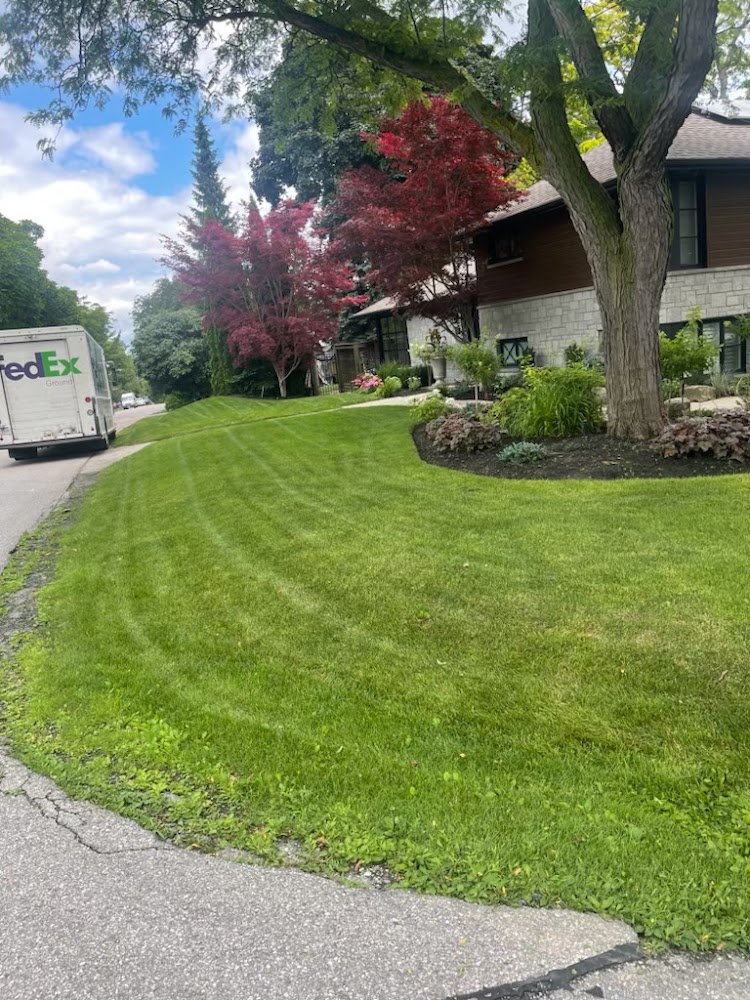 Top Notch Lawn Care