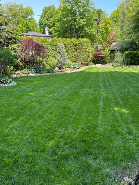 Beyond The Lawn Property Services