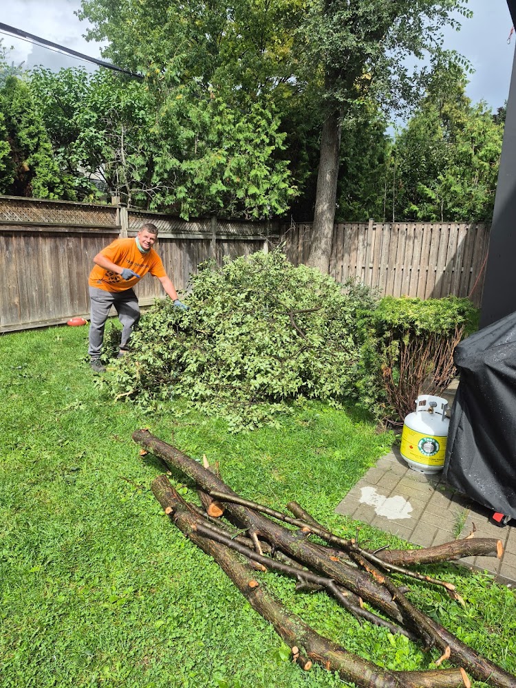 darka landscaping