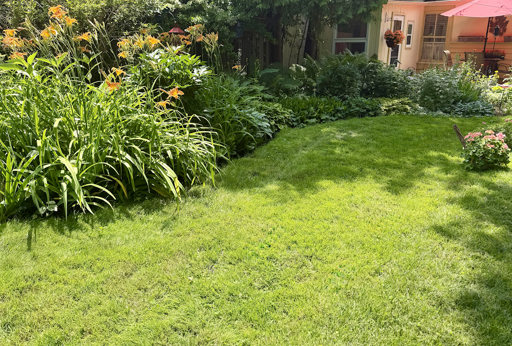 Greenerlandscape