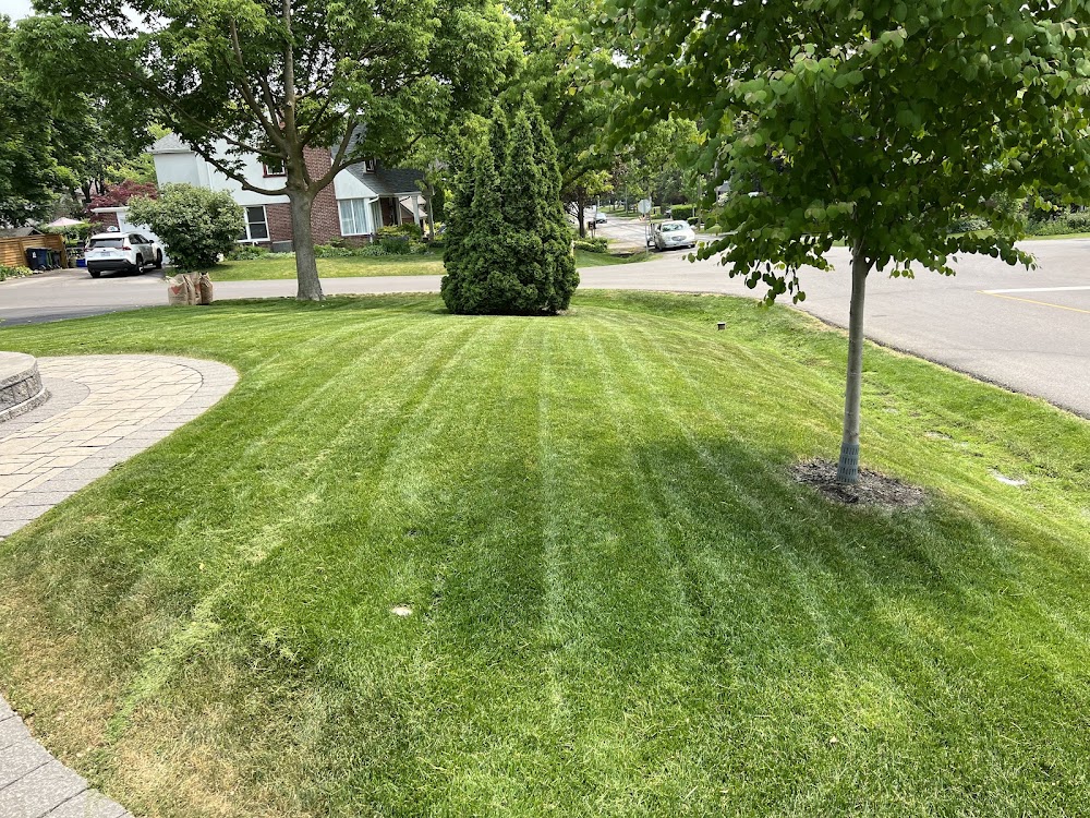 Cut&Care