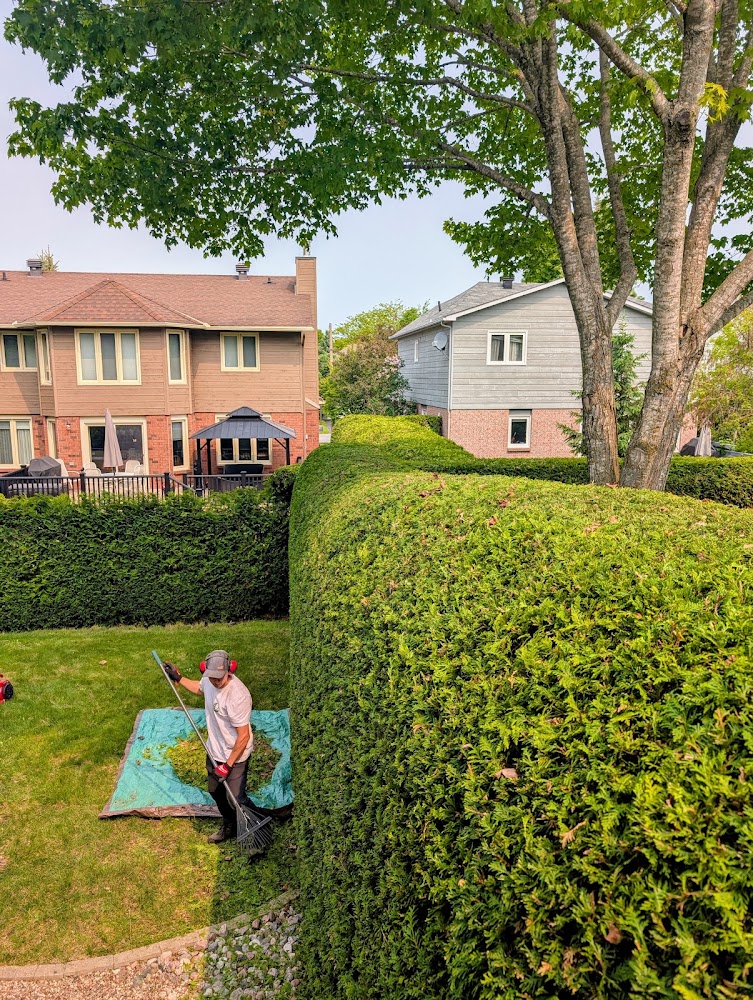 Greencraft Hedge Trimming