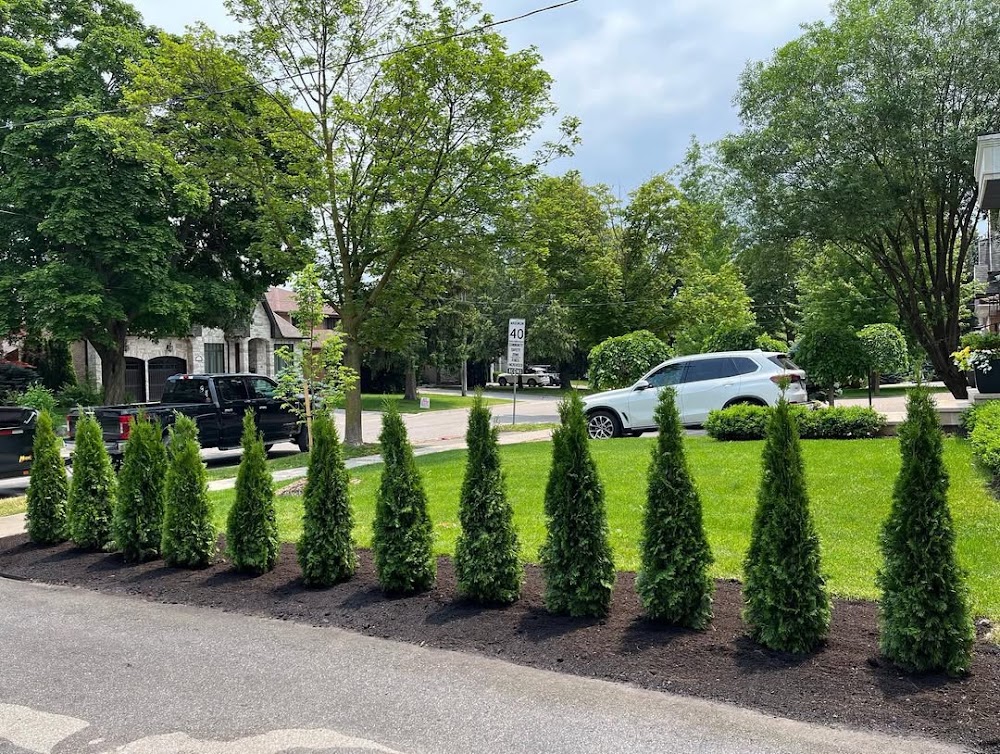 Eatonville Landscaping Etobicoke