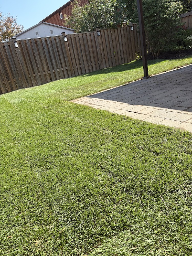 Lawn Men Landscape
