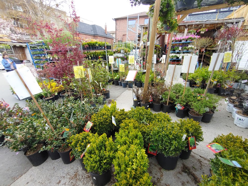 East End Garden Centre