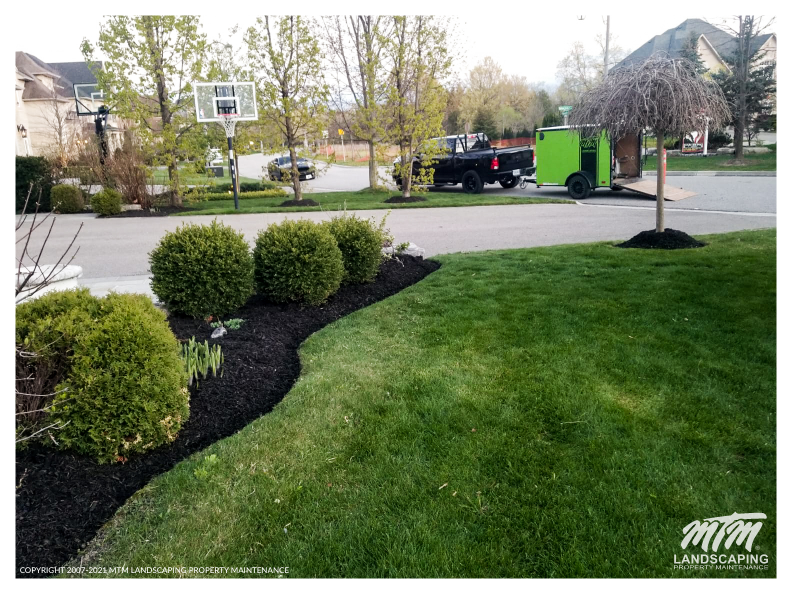 MTM Landscaping Property Maintenance