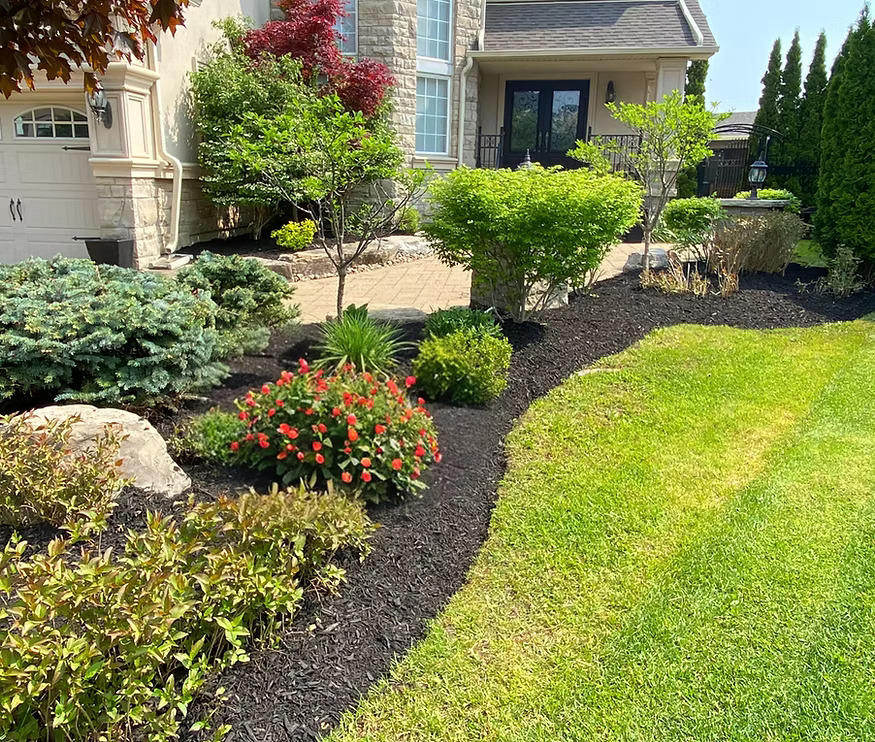 Dawn Landscaping