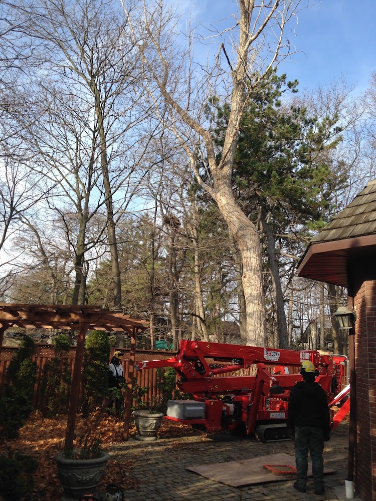 kompre lawn and tree care