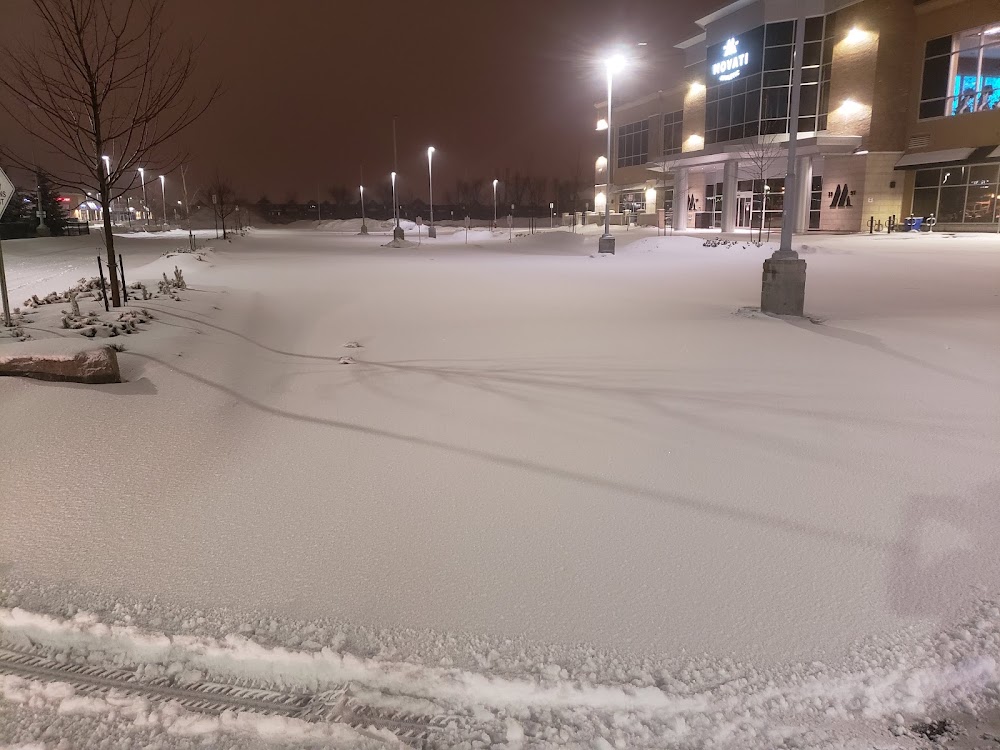 Green King Landscaping and Snow Removal