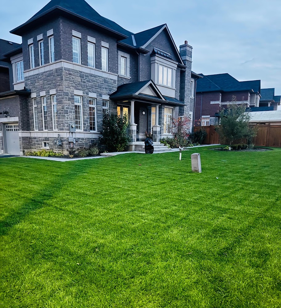 Expert Property Care